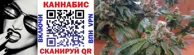 Бошки Шишки семена  МЕГА ссылки  Псков 
